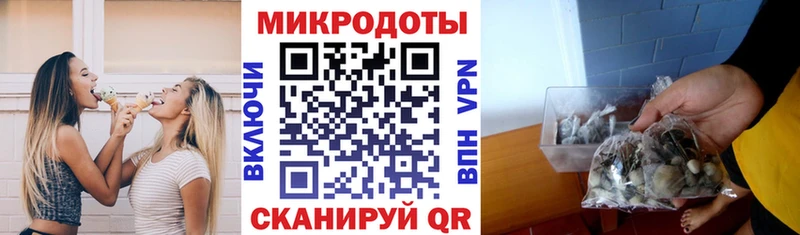 mega Болгар Галлюциногенные грибы GOLDEN TEACHER цена наркотик